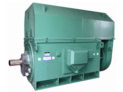 湖北Y系列6KV高压电机生产厂家